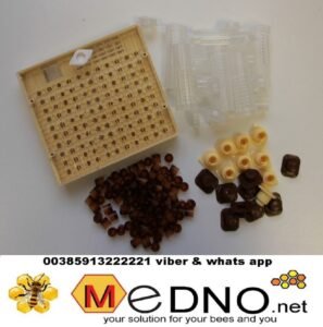 NIKOT SET cover 1 scaled