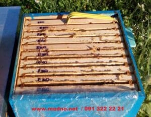 mravlja kiselina pcelarstvu borbi protiv varoje pcele kosnica slika 39664182 350x271 1 scaled