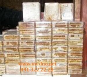 pcele boksevi med sacu cijene 2016 g recesija slika 59701481 scaled