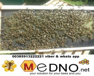 plastic comb foundation 14 scaled