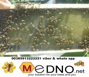 plastic comb foundation 15 scaled