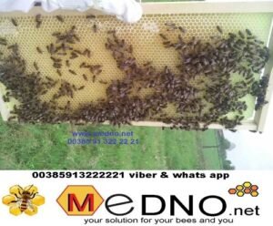 plastic comb foundation 21 scaled