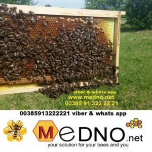 plastic comb foundation 23 scaled