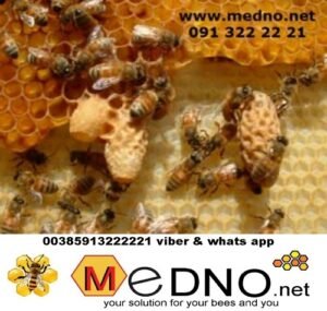 plastic comb foundation 5 1 scaled