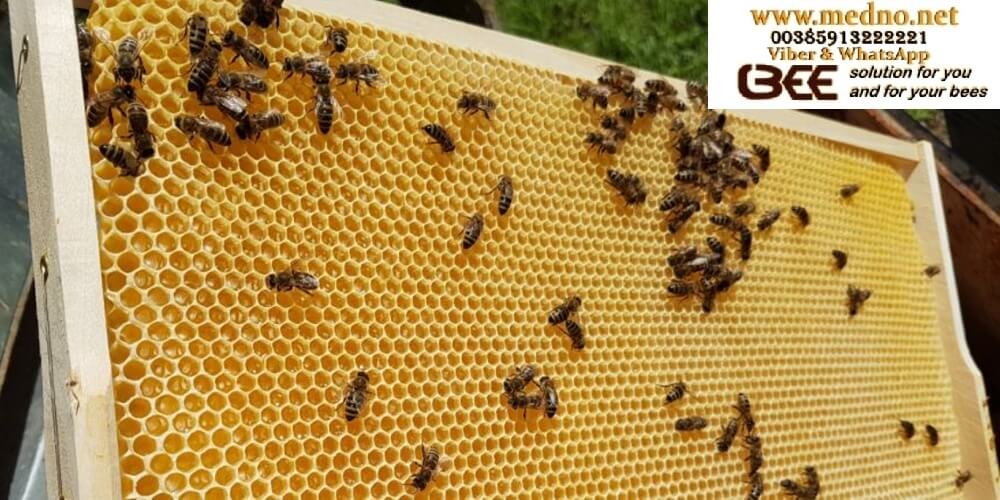 Satna osnova od provjerenog čistog voska