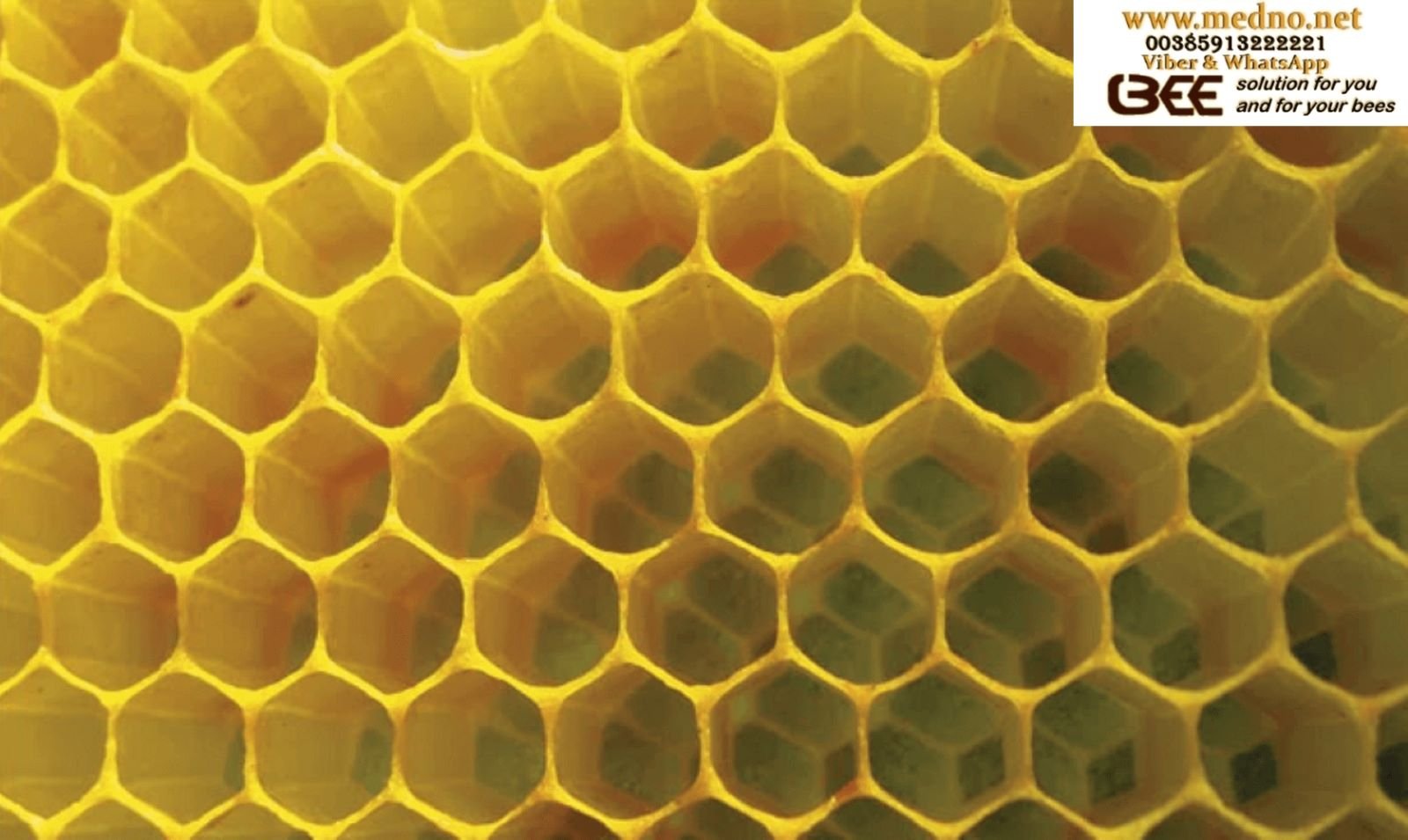 Satna osnova od provjerenog čistog voska