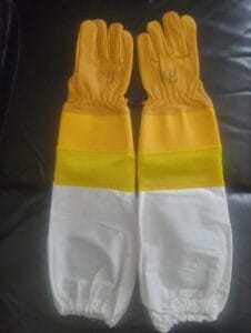 98266125 697266214393032 5794059312078782464 n scaled