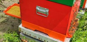 Podnica PVC CRVENA sa sakupljačem peludi,češljem i poletaljkom za LR i DB10 / PVC bee flooring with pollen collection