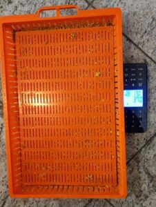 Podnica PVC CRVENA sa sakupljačem peludi,češljem i poletaljkom za LR i DB10 / PVC bee flooring with pollen collection