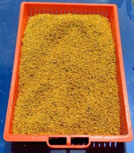 Podnica PVC CRVENA sa sakupljačem peludi,češljem i poletaljkom za LR i DB10 / PVC bee flooring with pollen collection