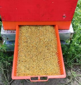 Podnica PVC CRVENA sa sakupljačem peludi,češljem i poletaljkom za LR i DB10 / PVC bee flooring with pollen collection