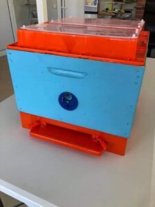 Hranilica bugarska velika 3 scaled