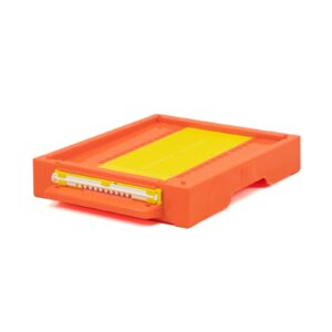 Podnica bugarska 1 scaled