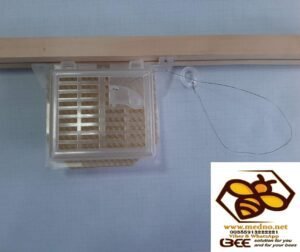 Blokator ( izolator ) matica na 21 dan u borbi protiv varoe