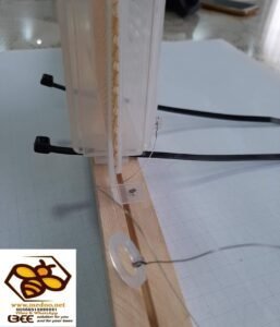 Blokator ( izolator ) matica na 21 dan u borbi protiv varoe