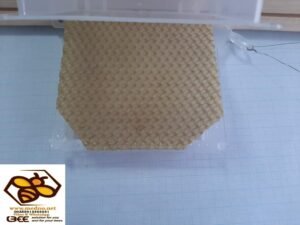 Blokator ( izolator ) matica na 21 dan u borbi protiv varoe