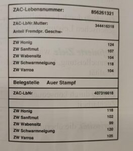 majke matic1 4 scaled
