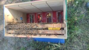 matice dodavanje matica slike 1a scaled