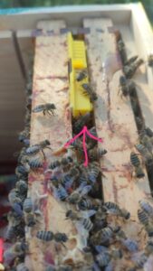 matice dodavanje matica slike 3a scaled