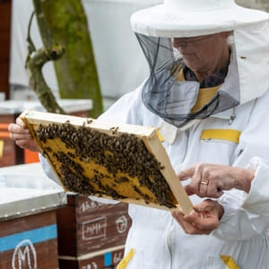 Kupac pčelarske opreme iz Varaždina